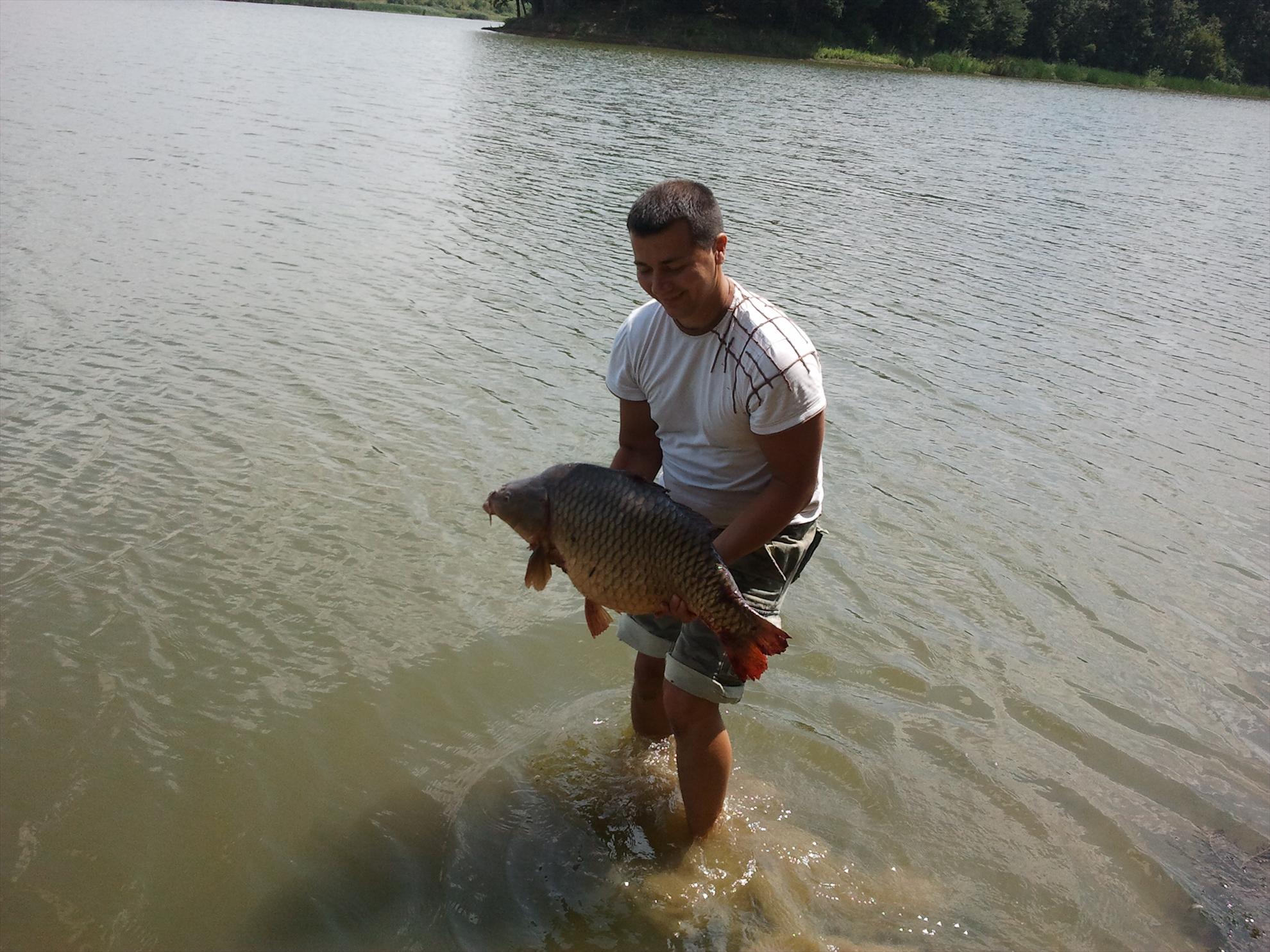 Balta SISTEREA jud Bihor - 31.07.2012